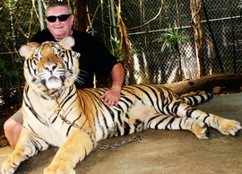 Happy Tiger Cat Thailand