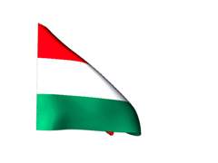 Reiki Hungary - Magyar - Unkari